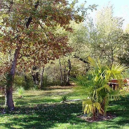 Destination Provence *